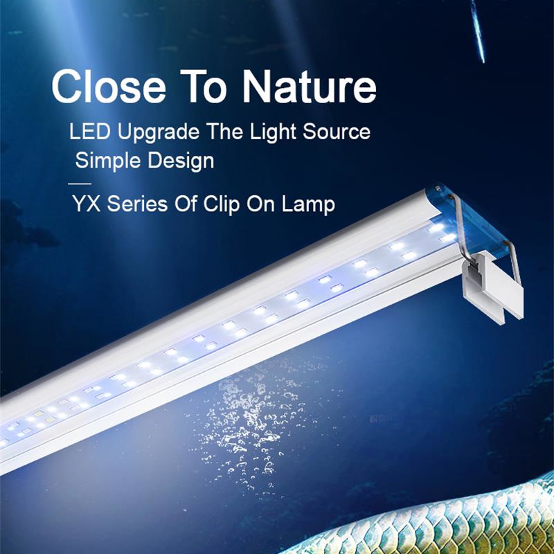 Aquarium Plant Display - Mở rộng không thấm nước Clip