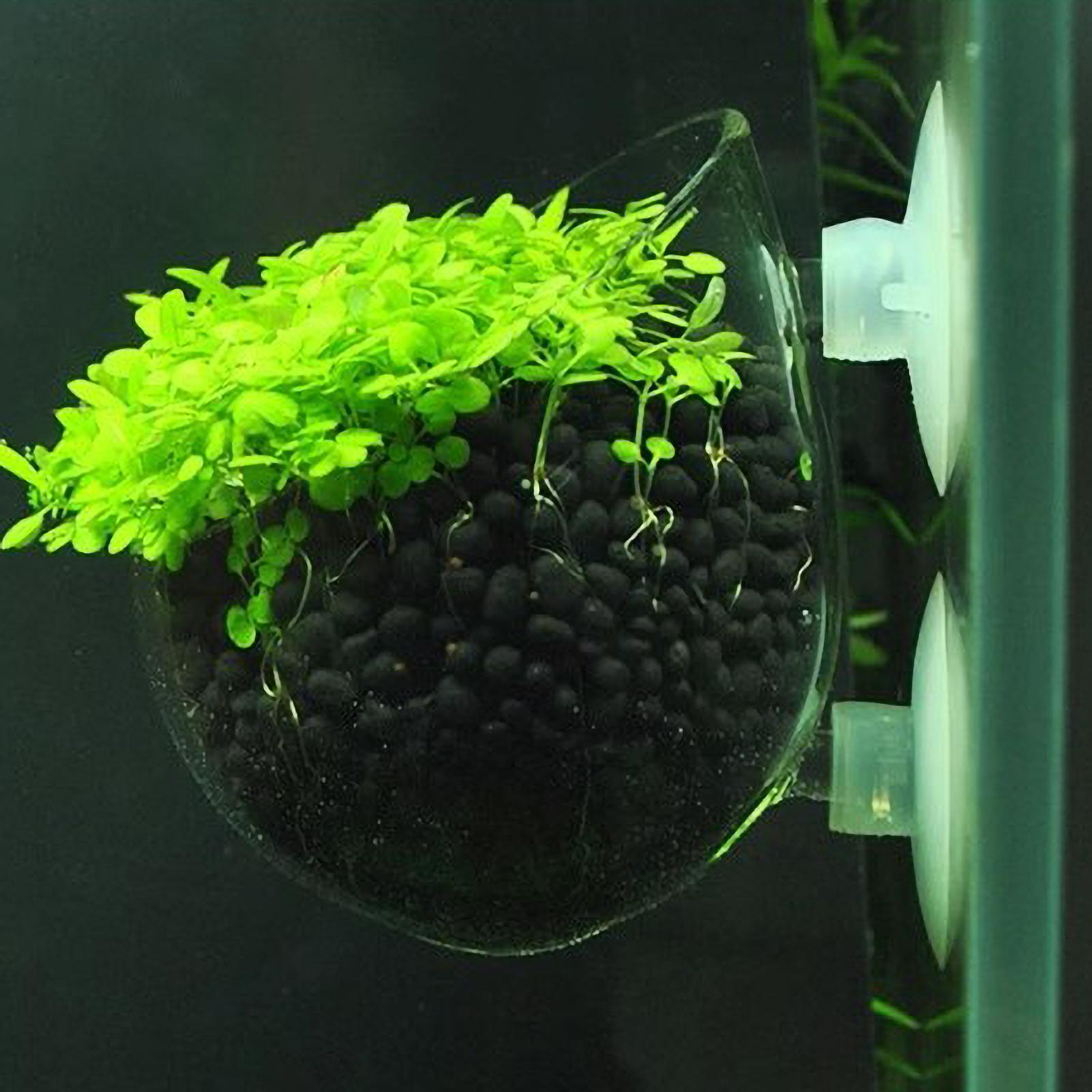 Aquarium Planted Tank Substrate - Aquarium Plant Holder Glass Aquatic Plant