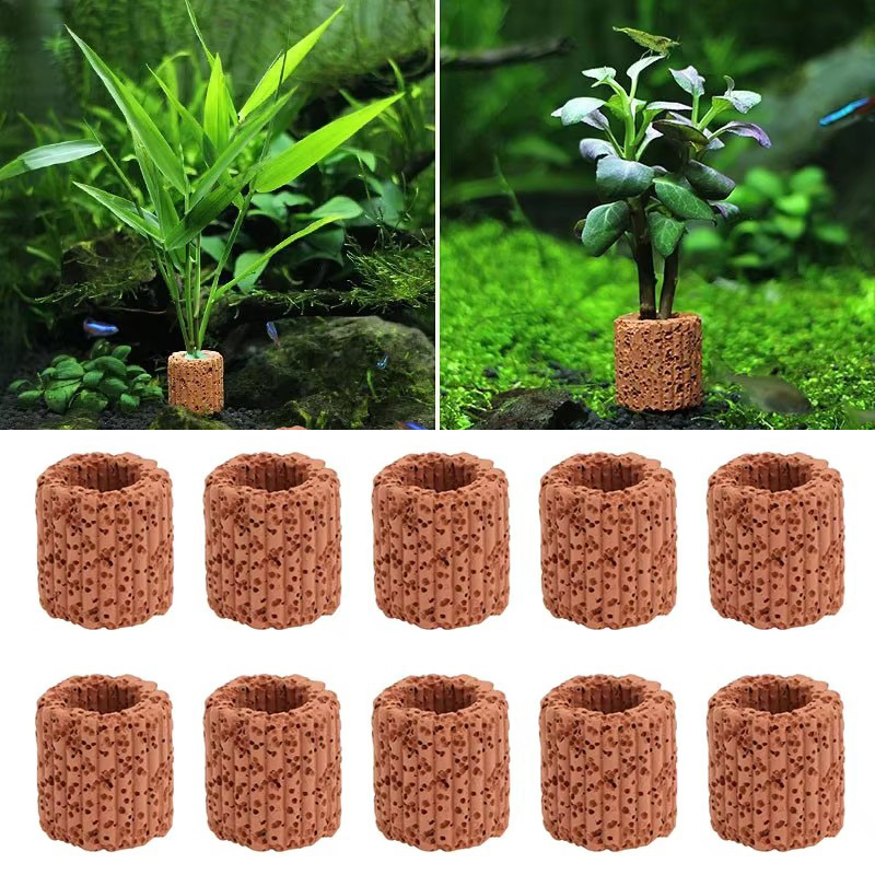 Aquarium Plant Display - 20 Chiếc Thủy Sinh Nước Nhẫn