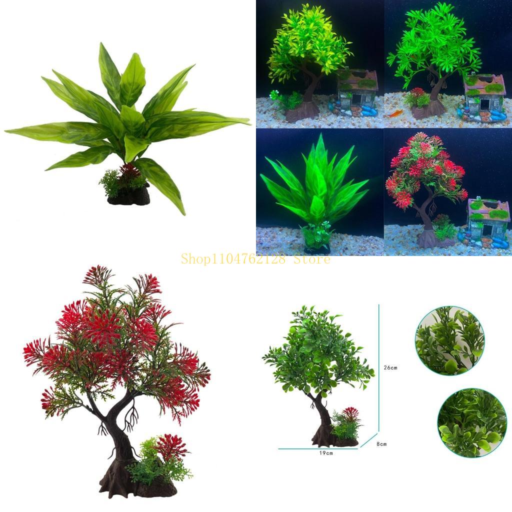 Planted Aquarium Best Fish - Bể Cá Thực Vật Thủy Sinh