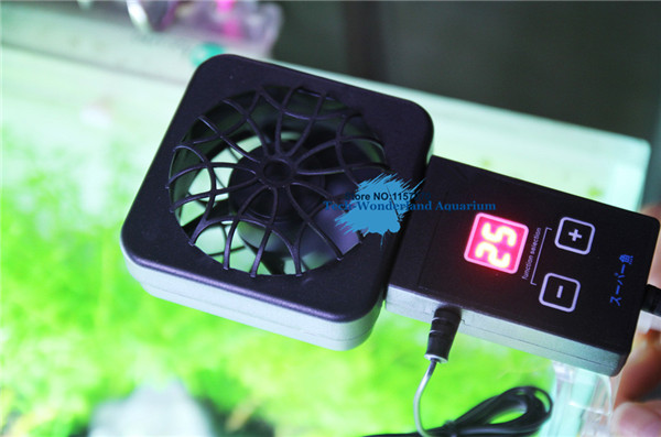 Planted Aquarium Mini - Mini nano clip treo trên quạt