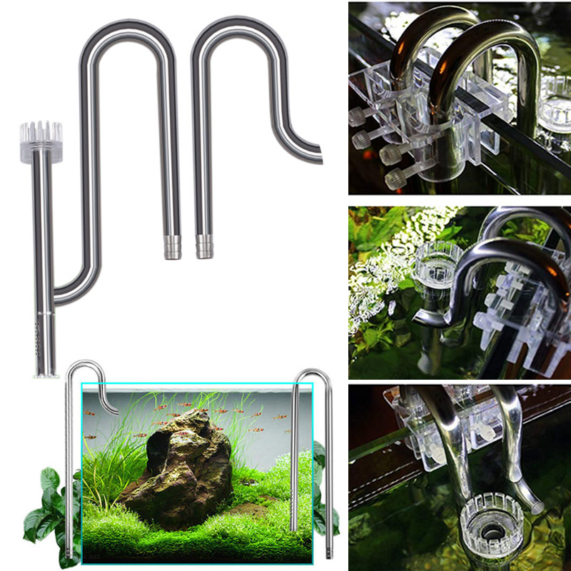 Planted Aquarium Best Fish - Mới Cá Lily Ống Thép Không