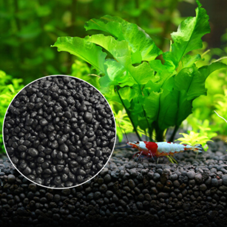 Aquarium Planted Tank Substrate - Bể Cá Cảnh Vật Có Hạt