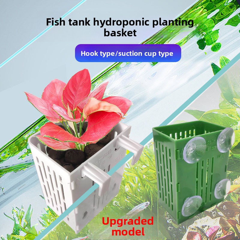 Aquarium Plant Display - 1PC Wall Mounted Hydroponics Planting Basket
