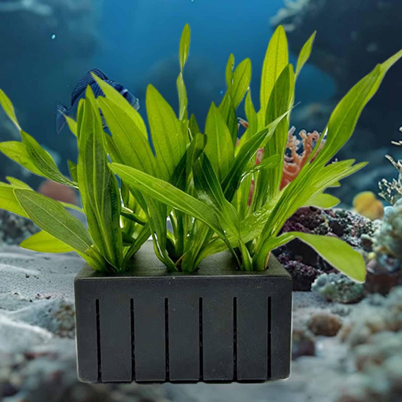 Planted Aquarium Mini - Aquarium Plant Basket PP Plastic Hydroponic