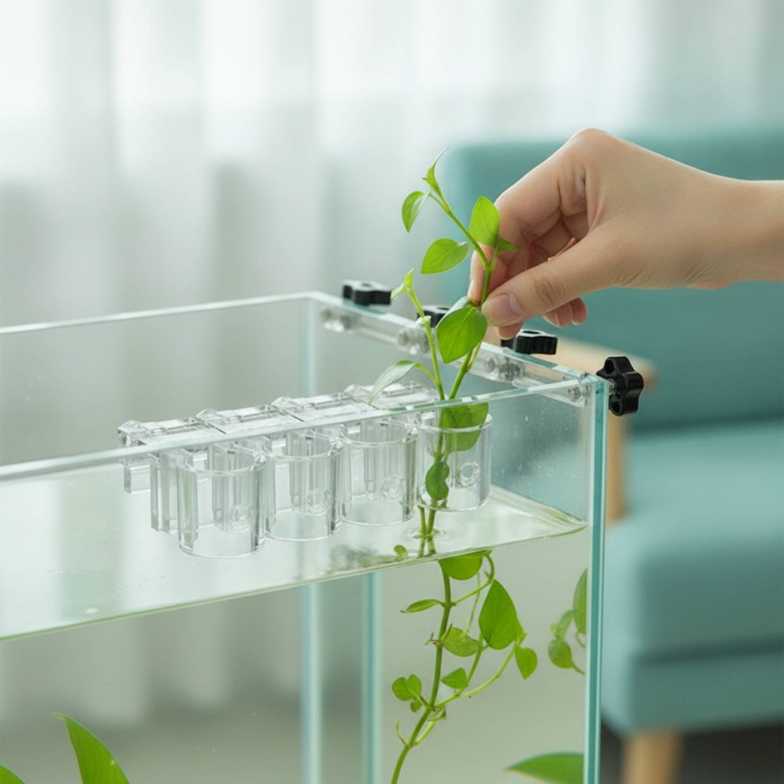 6 Pieces Aquarium Planter Clea - đánh giá và giá Aquarium Plant