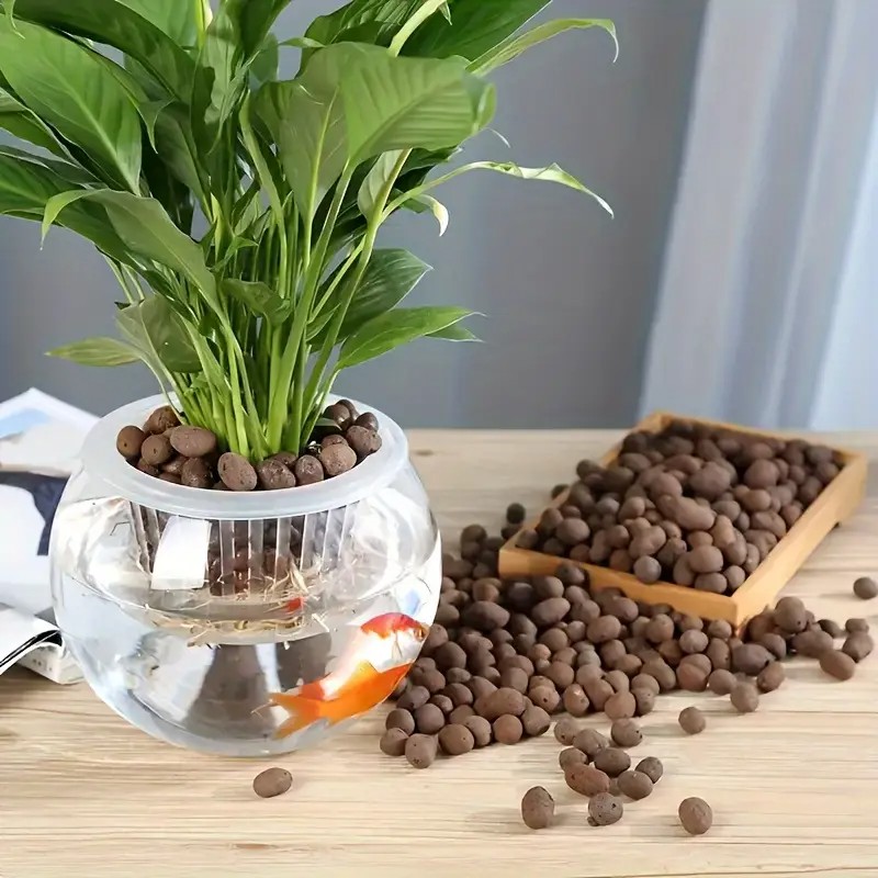 Lightweight & Breathable Terra - đánh giá và giá Aquarium Plant