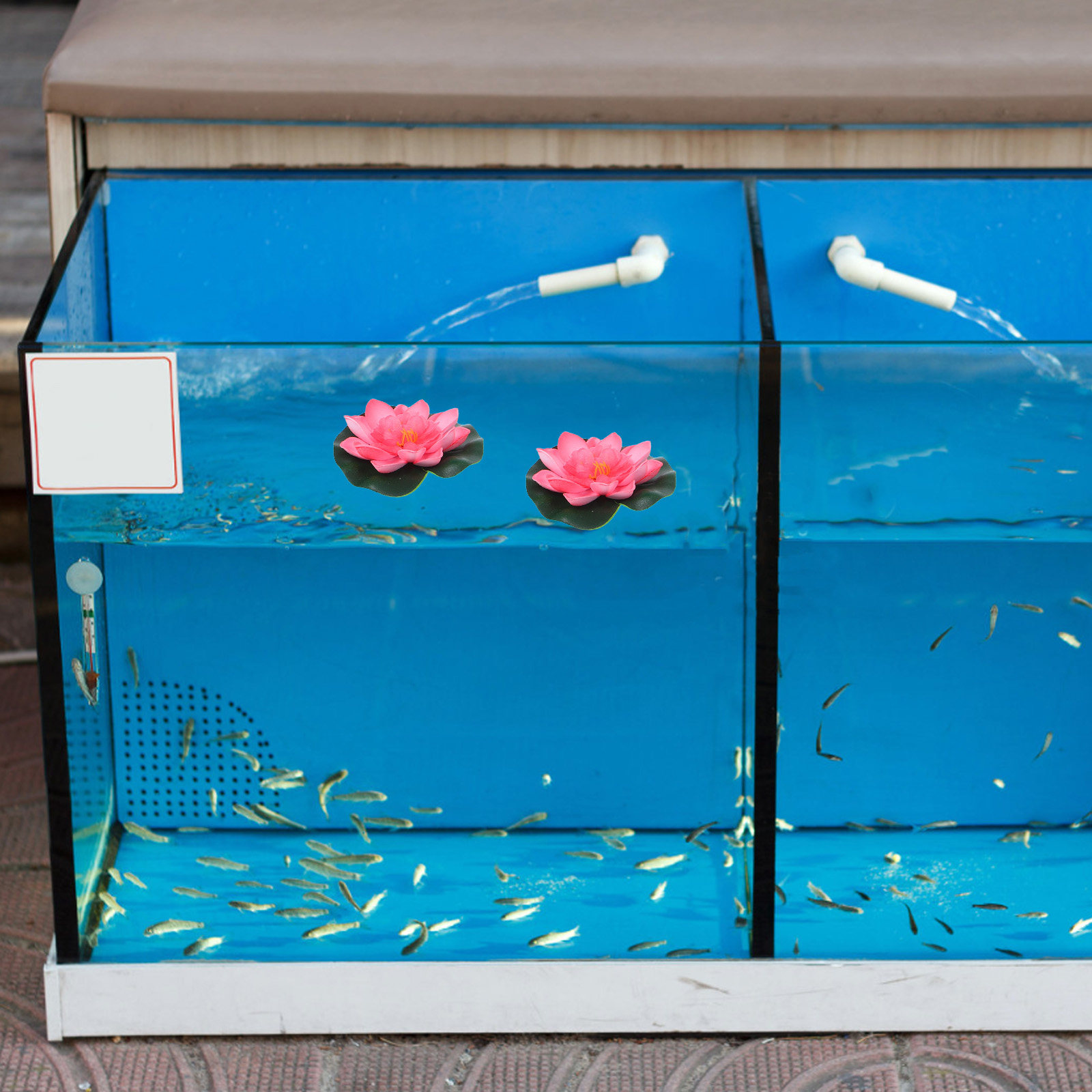 12Pcs Artificial Floating Wate - đánh giá và giá Aquarium Plant