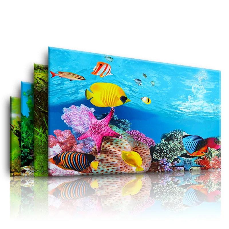 Nền Cho Bể Cá 3d Dán Poster Cá - đánh giá và giá Aquarium Plant Display
