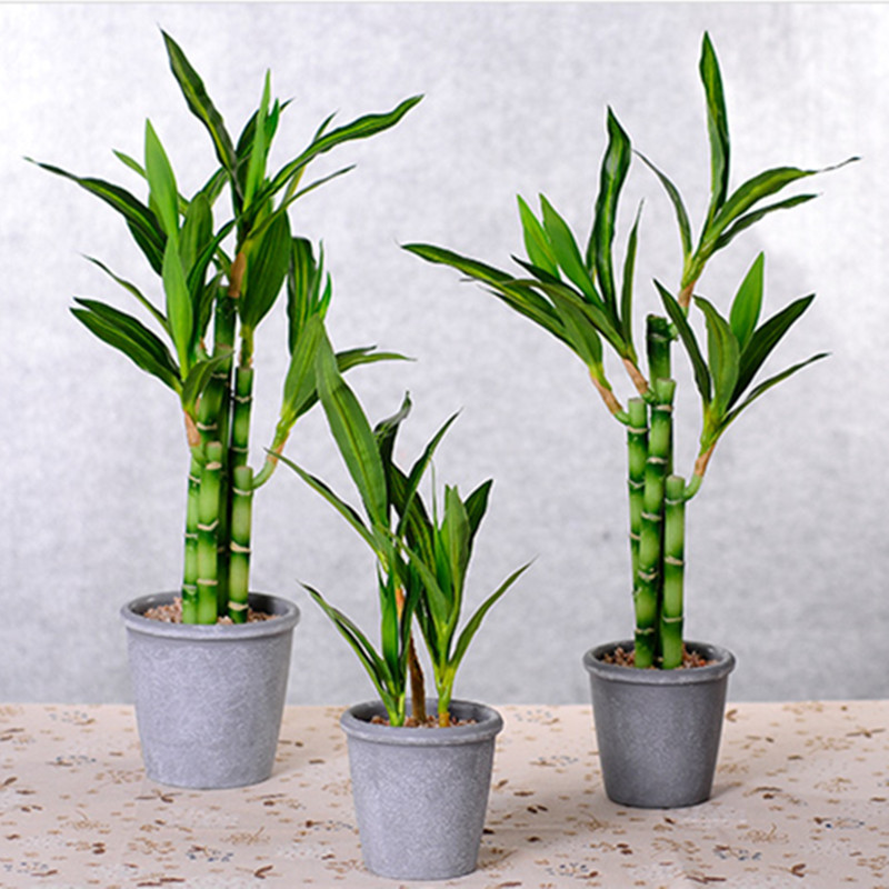 Mới 40Cm RFtificial May Mắn Tr - đánh giá và giá Aquarium Plant Display