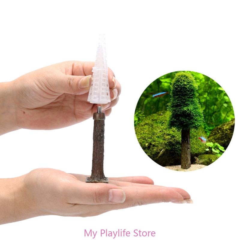Rong Biển Thực Vật Giá Đỡ Rêu  - đánh giá và giá Planted Aquarium Mini