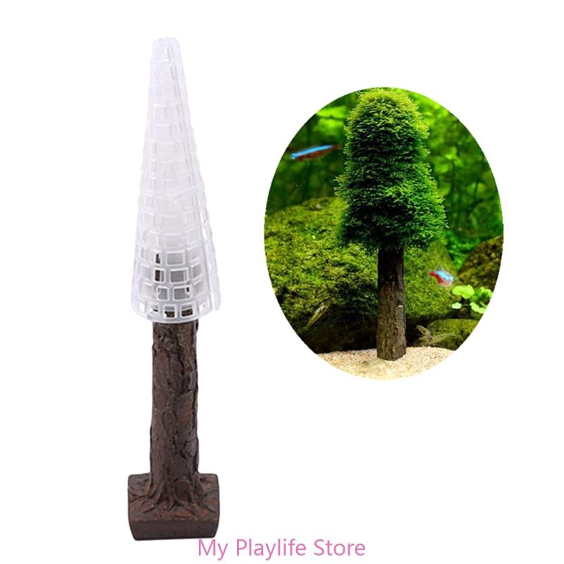 Rong Biển Thực Vật Giá Đỡ Rêu  - đánh giá và giá Planted Aquarium Mini