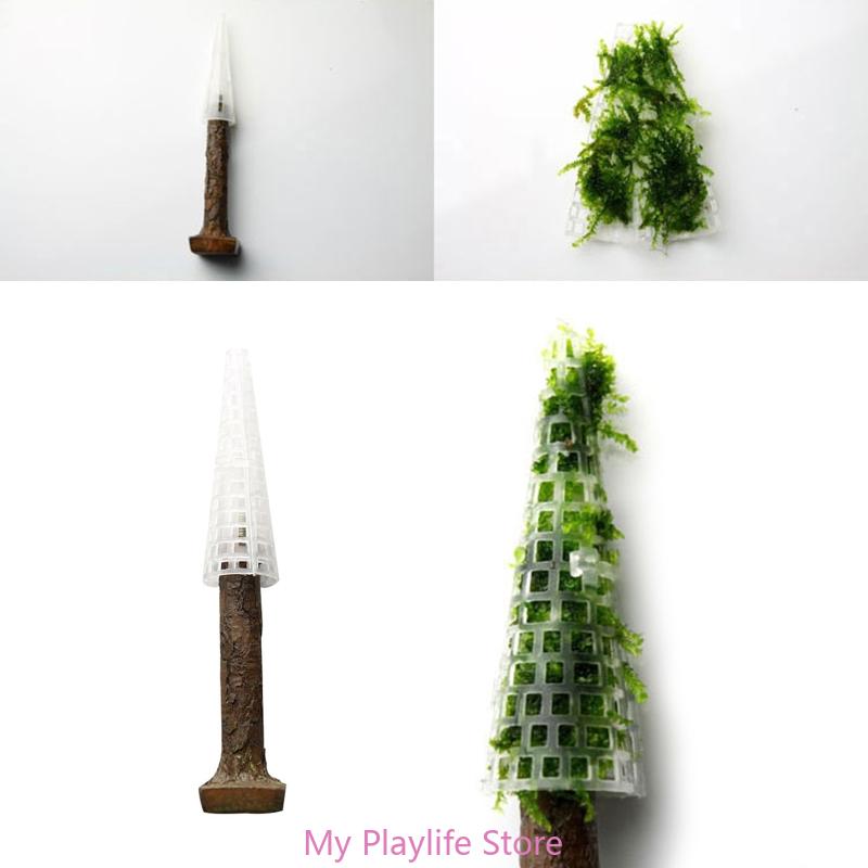 Rong Biển Thực Vật Giá Đỡ Rêu  - đánh giá và giá Planted Aquarium Mini
