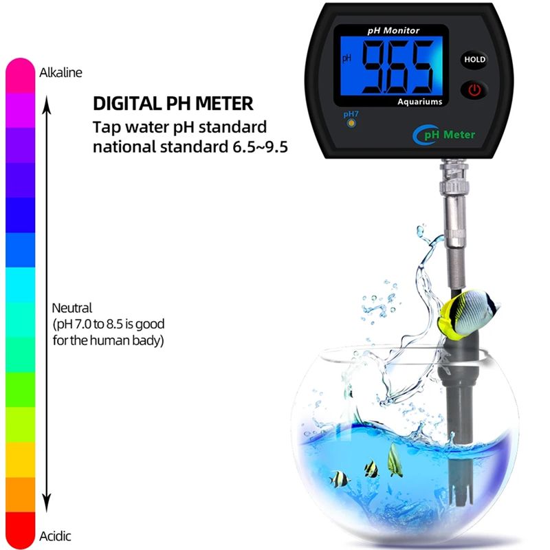 M12K-PH Meter Online PH Monito - đánh giá và giá Planted Aquarium Ph
