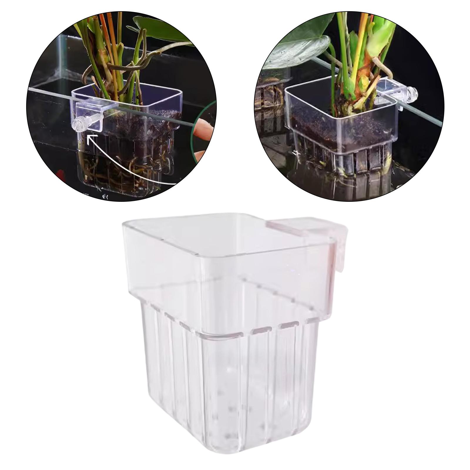 Aquarium Plant Holder Transpar - đánh giá và giá Planted Aquarium Mini