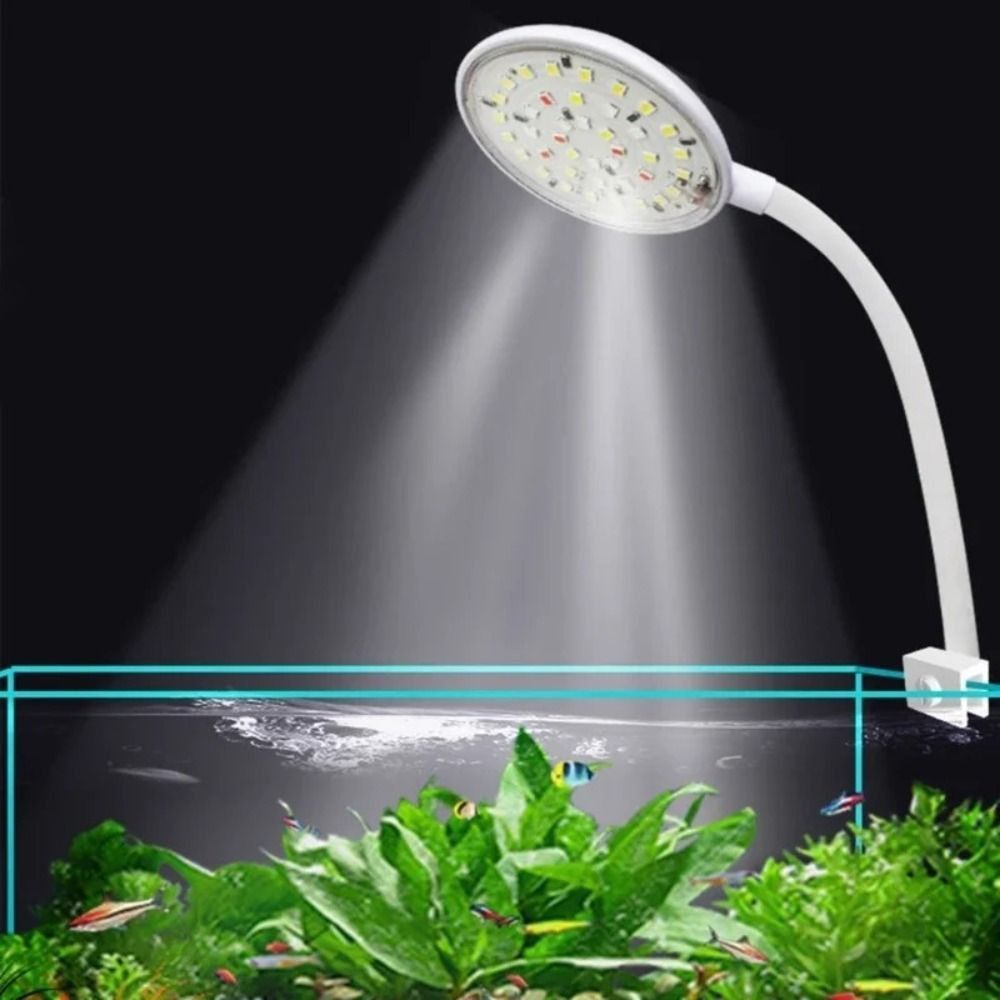 Mini Fish Tank Clip Lamp 360-D - đánh giá và giá Planted Aquarium Mini