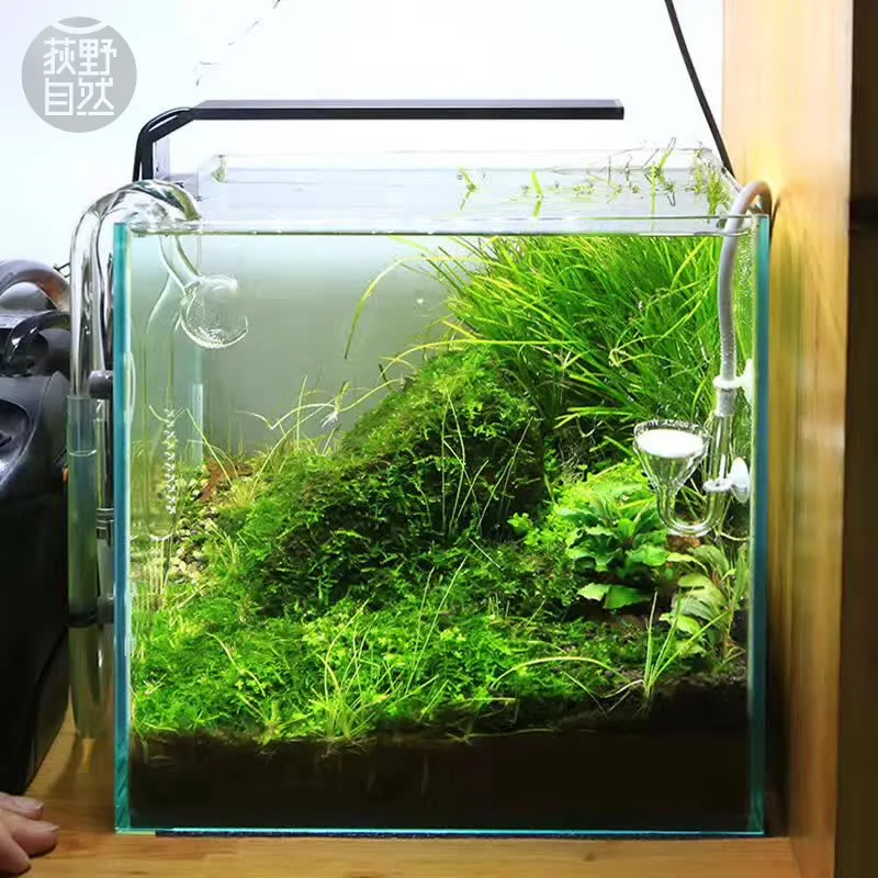 Chihiros C Series ADA Style Pl - đánh giá và giá Planted Aquarium Mini