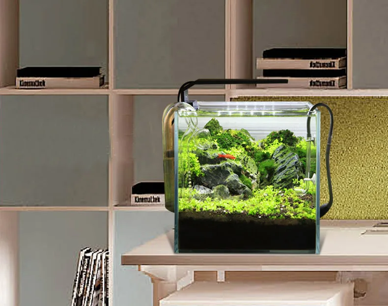 Chihiros C Series ADA Style Pl - đánh giá và giá Planted Aquarium Mini