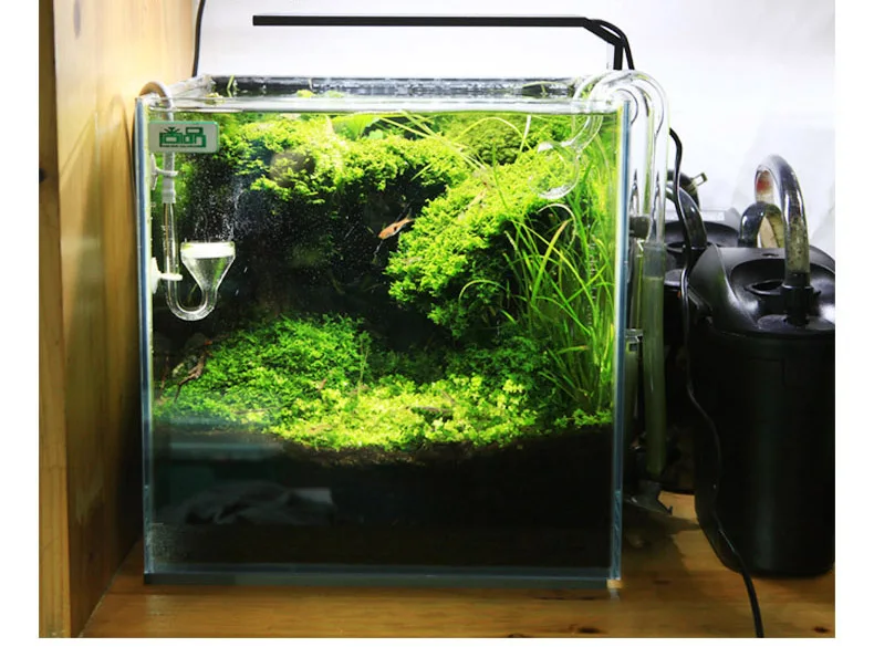 Chihiros C Series ADA Style Pl - đánh giá và giá Planted Aquarium Mini