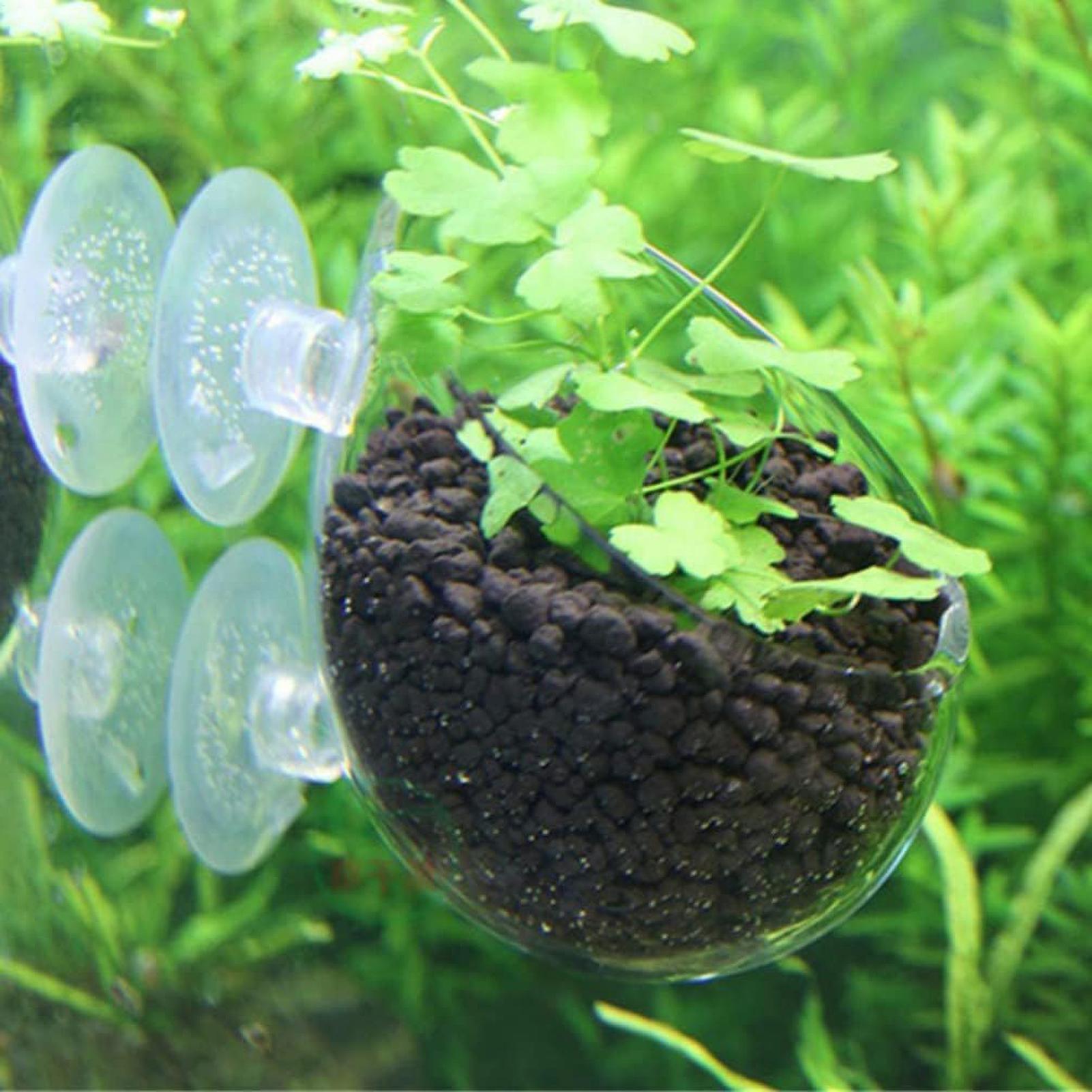 Aquarium Glass Plant Pot with  - đánh giá và giá Aquarium Planted Tank Substrate