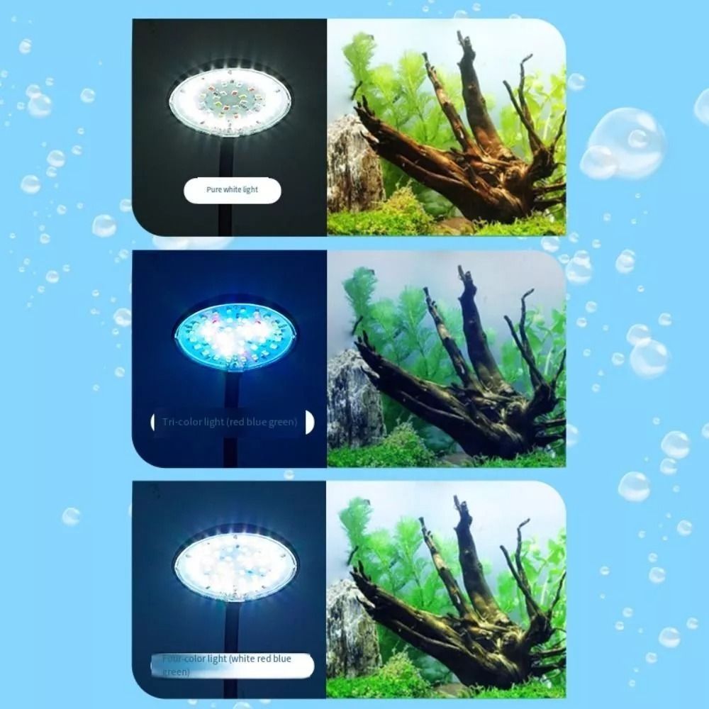 New Mini Fish Tank Clip Lamp 5 - đánh giá và giá Planted Aquarium Mini