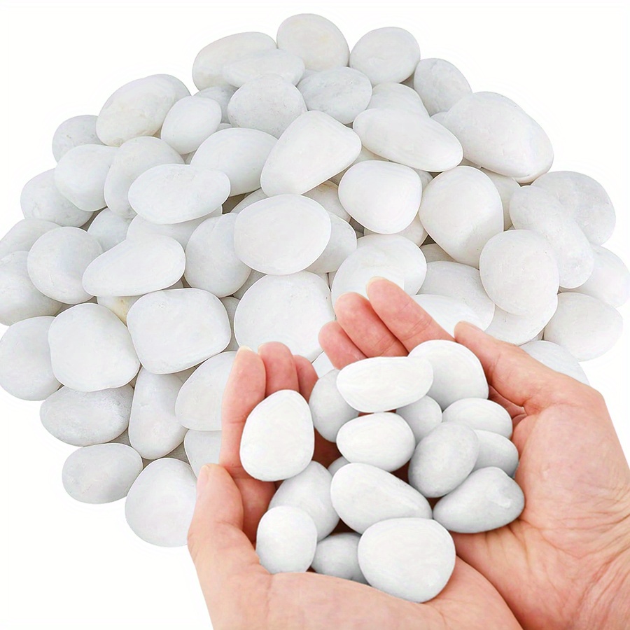 200/400g White High Polished N - đánh giá và giá Aquarium Plant Display