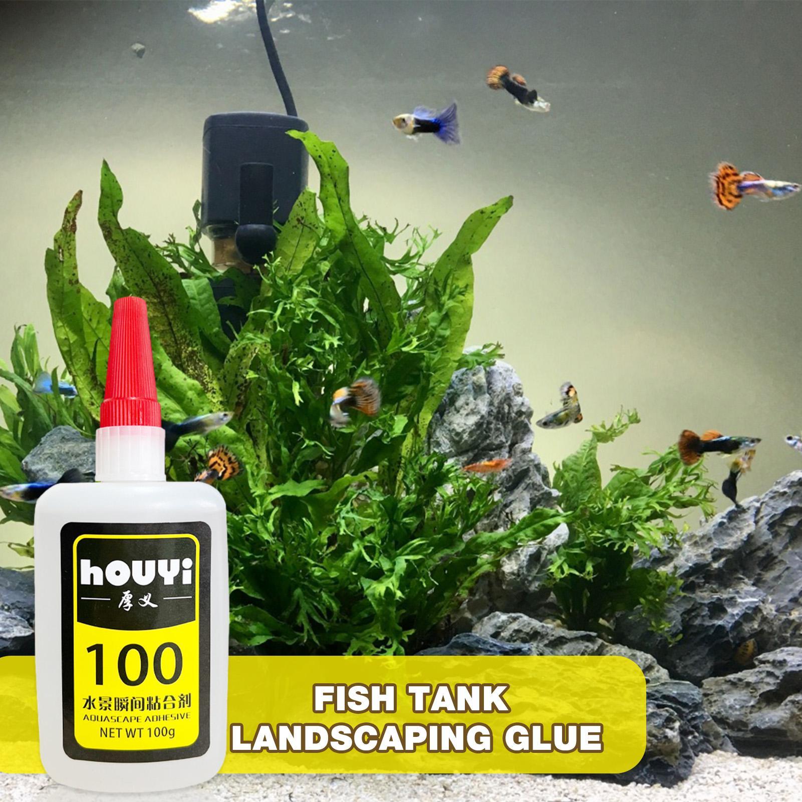 50/100g Clear Instant Glue Aqu - đánh giá và giá Aquarium Plant