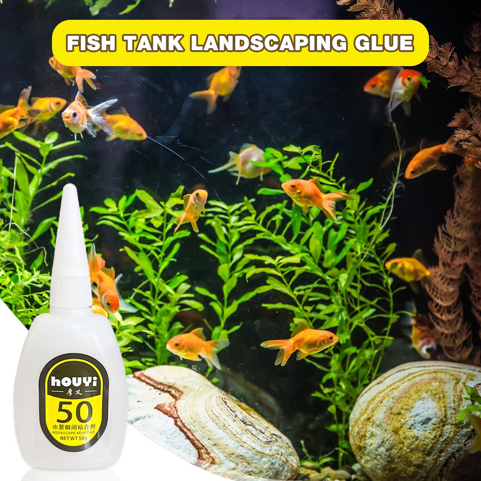 50/100g Clear Instant Glue Aqu - đánh giá và giá Aquarium Plant