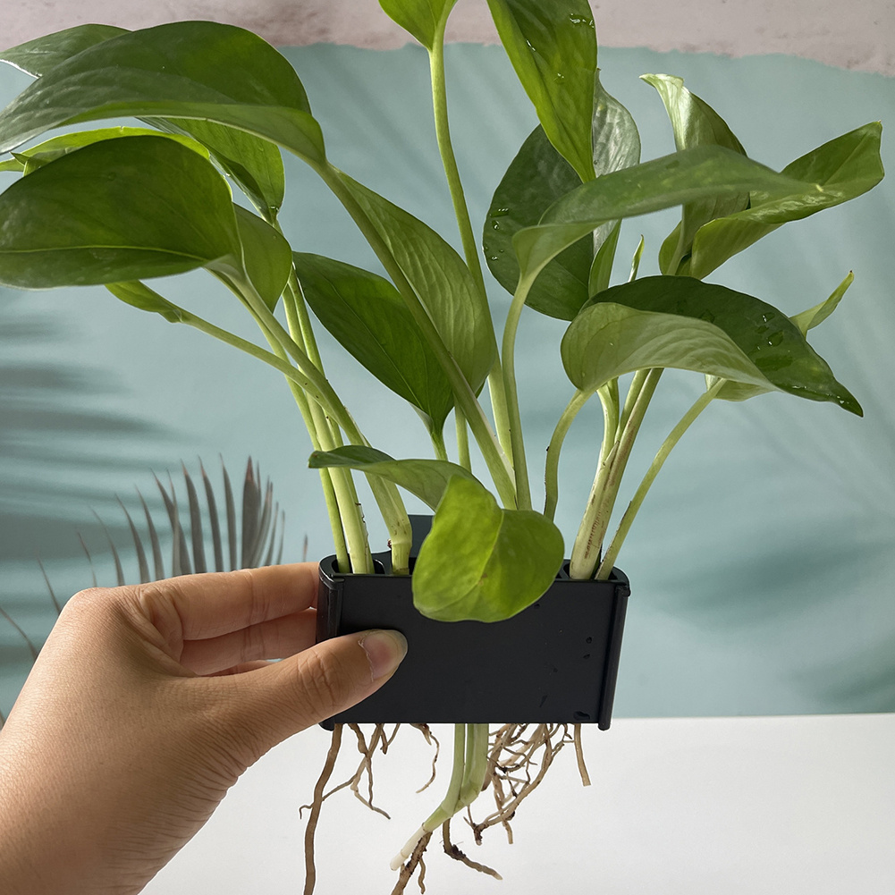 Aquarium Plant Holder with Han - đánh giá và giá Aquarium Planted Tank Substrate