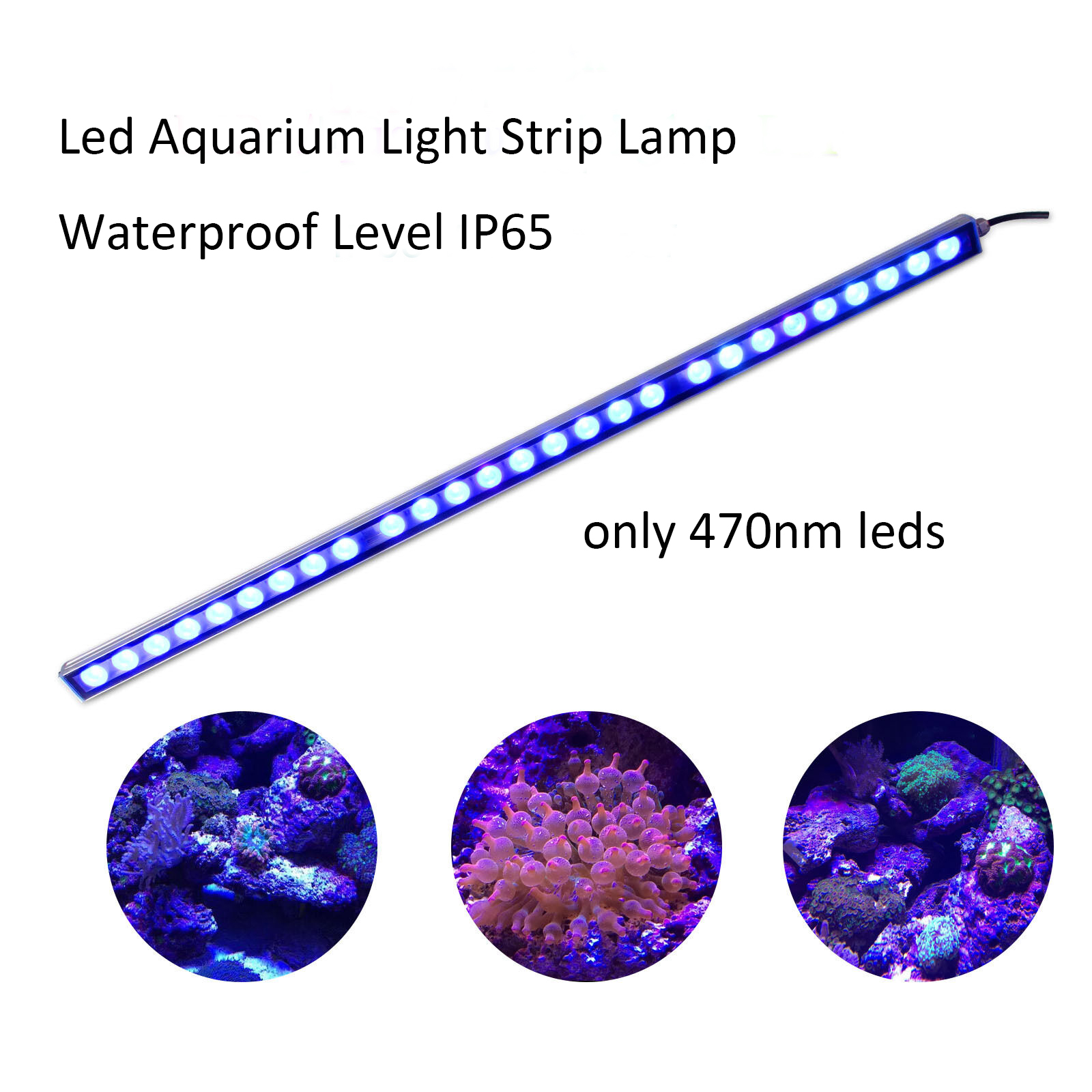 54W 81W 108W Đèn LED Thanh IP6 - đánh giá và giá Aquarium Plant Grow Light
