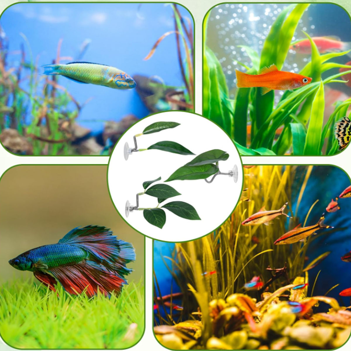 1 PC Betta Fish Hammock Soft A - đánh giá và giá Aquarium Plant Display