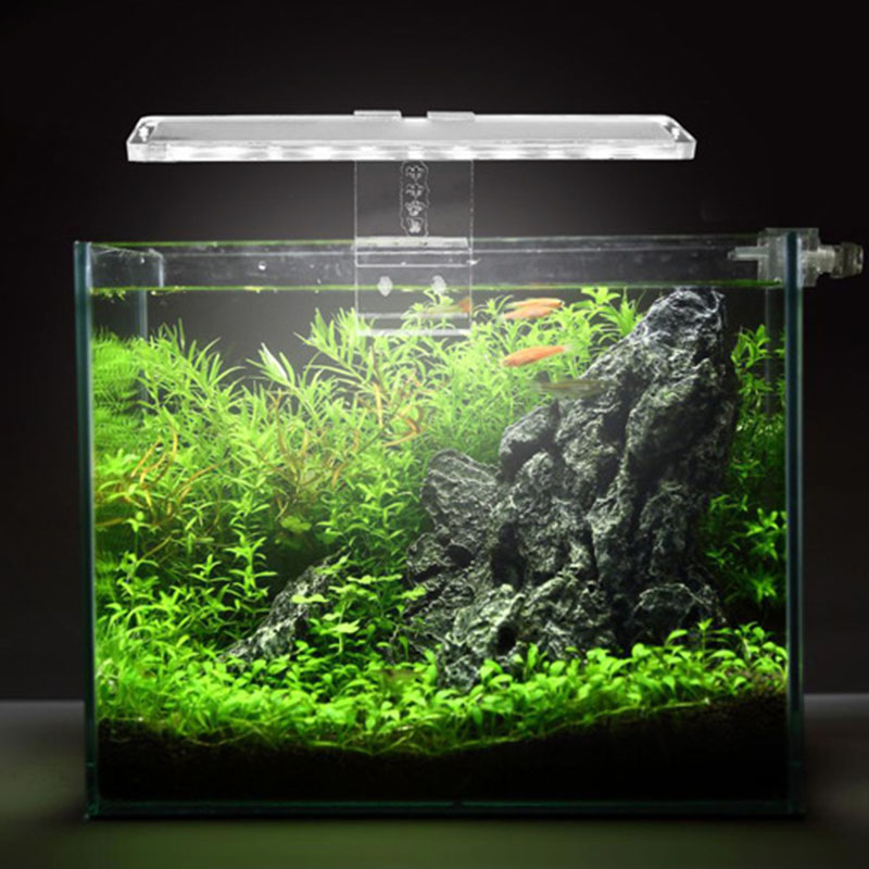 Đèn LED Bể Cá Đèn Vật Có Ánh S - đánh giá và giá Planted Aquarium Best Fish