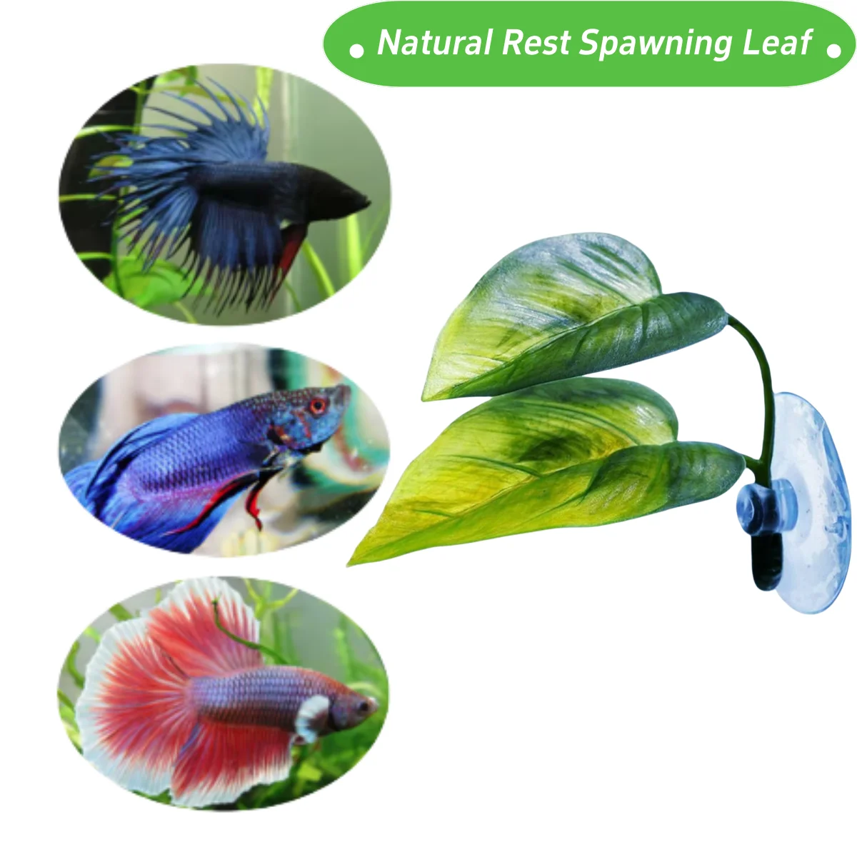 Pets Fish Tank Decor Betta Rel - đánh giá và giá Aquarium Plant Display