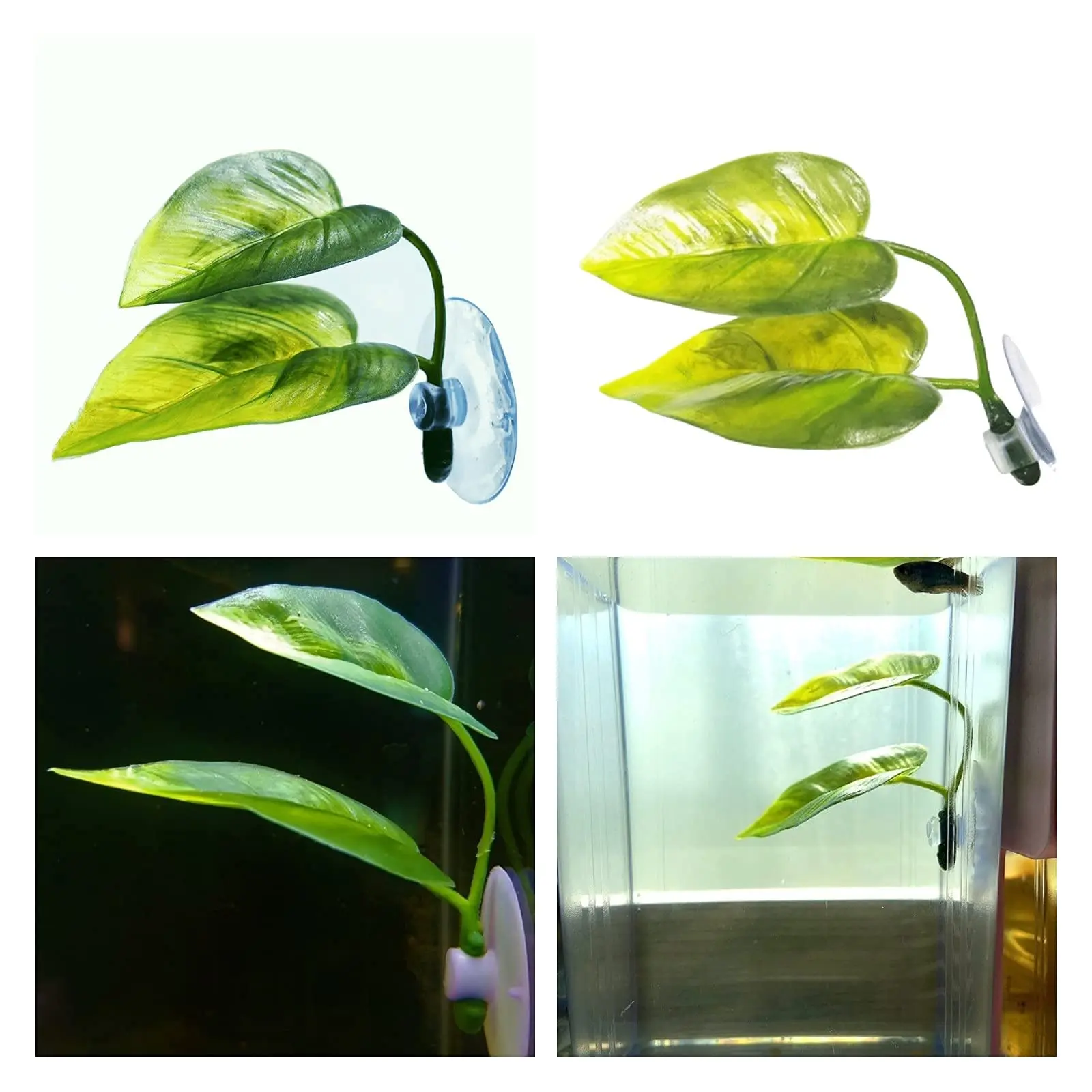 Pets Fish Tank Decor Betta Rel - đánh giá và giá Aquarium Plant Display
