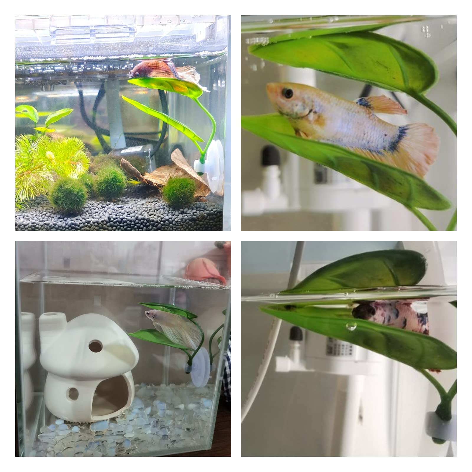 Pets Fish Tank Decor Betta Rel - đánh giá và giá Aquarium Plant Display