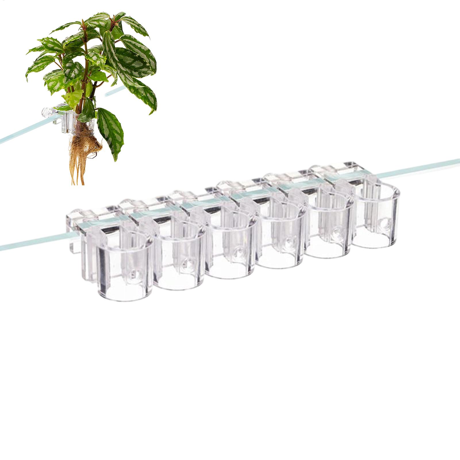Mini Fish Tank Planter Pot 6Pc - đánh giá và giá Planted Aquarium Mini