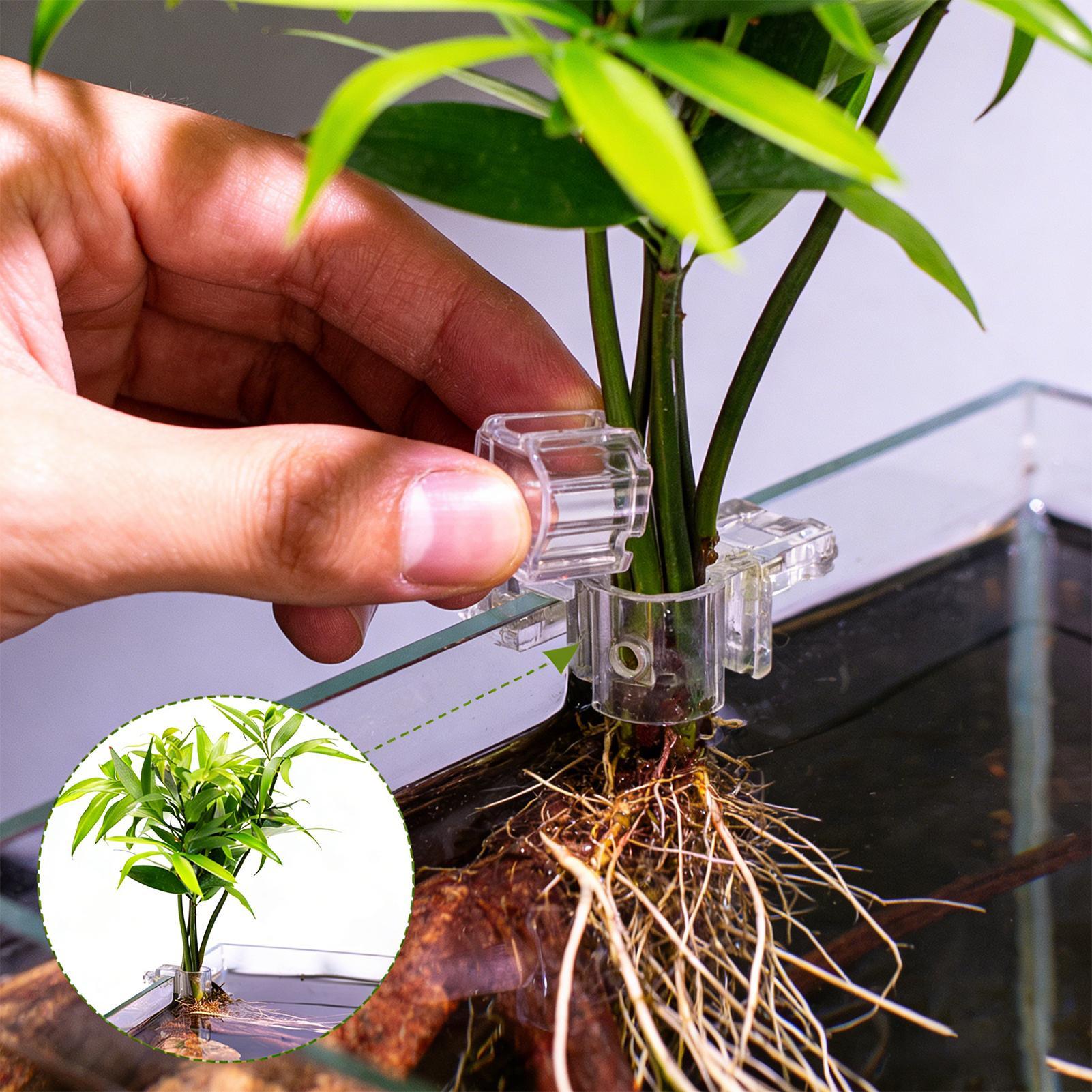 Mini Fish Tank Planter Pot 6Pc - đánh giá và giá Planted Aquarium Mini