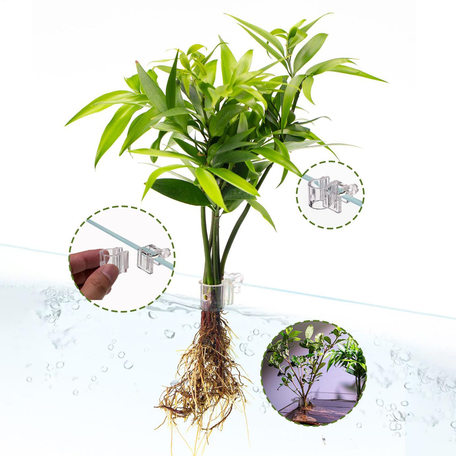 Mini Fish Tank Planter Pot 6Pc - đánh giá và giá Planted Aquarium Mini