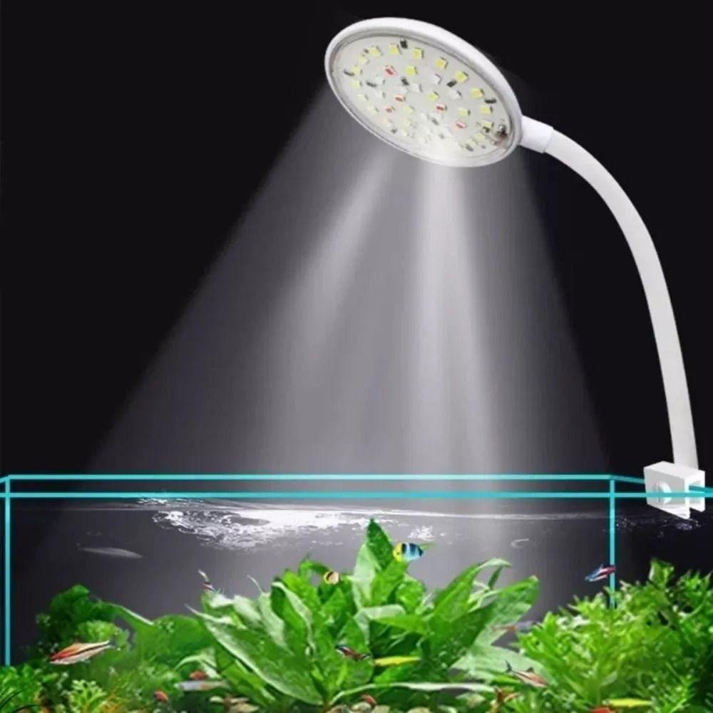 New Mini Fish Tank Clip Lamp 5 - đánh giá và giá Planted Aquarium Mini