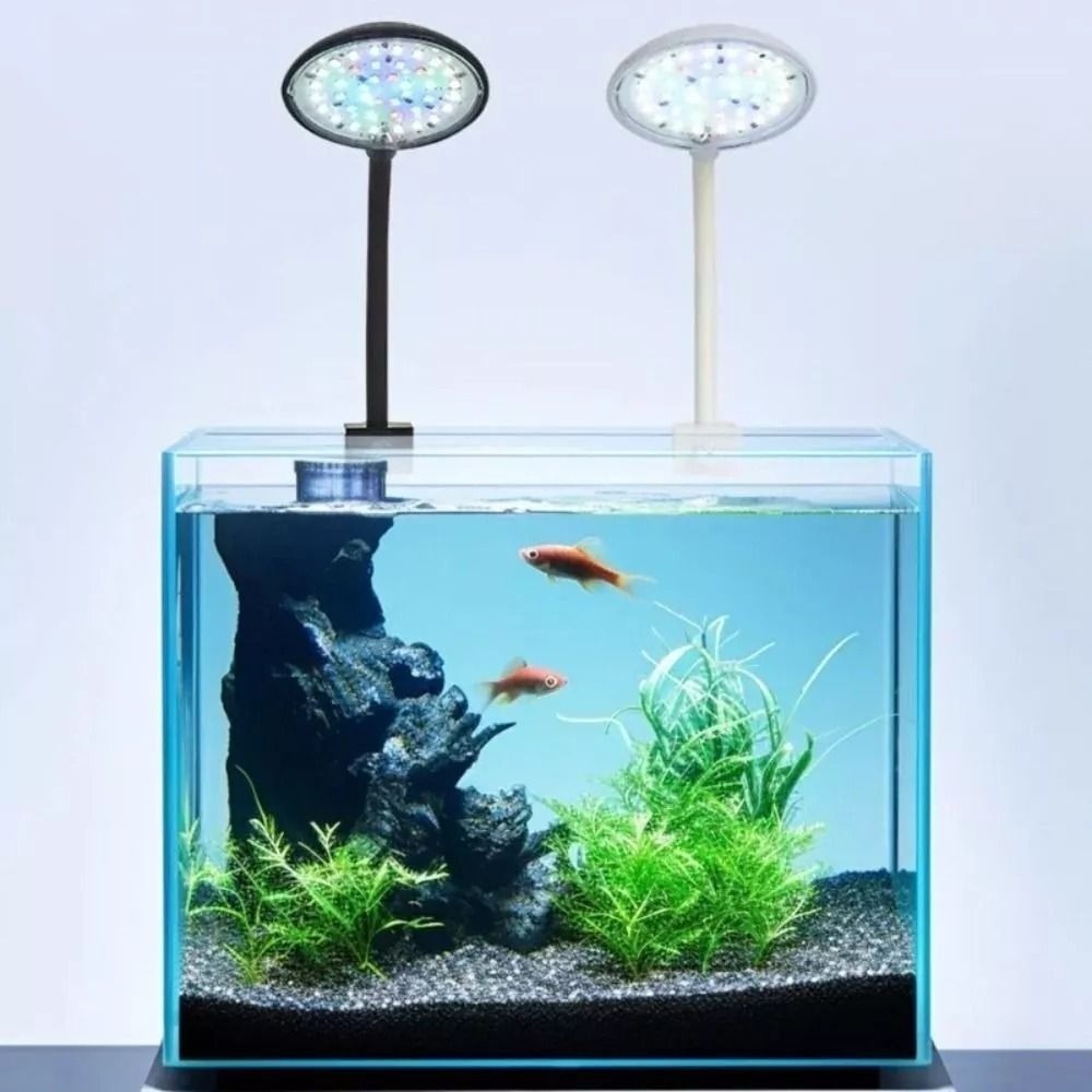 New Mini Fish Tank Clip Lamp 5 - đánh giá và giá Planted Aquarium Mini