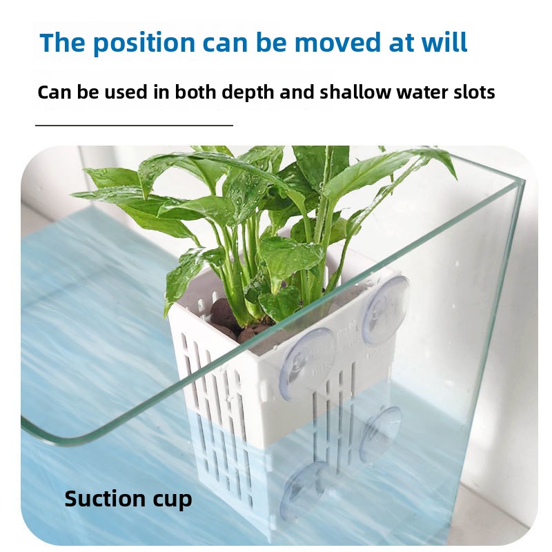 1PC Wall Mounted Hydroponics P - đánh giá và giá Aquarium Plant Display