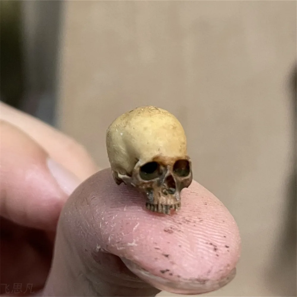 Mini Skull High Quality Miniat - đánh giá và giá Aquarium Plant Display