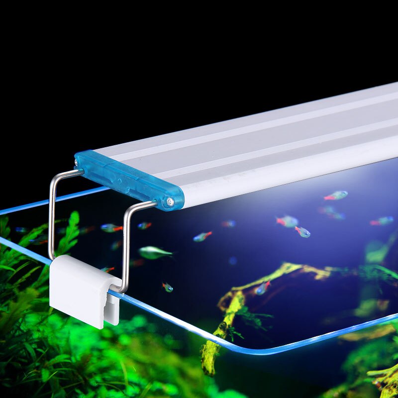 Mở rộng không thấm nước Clip t - đánh giá và giá Aquarium Plant Display