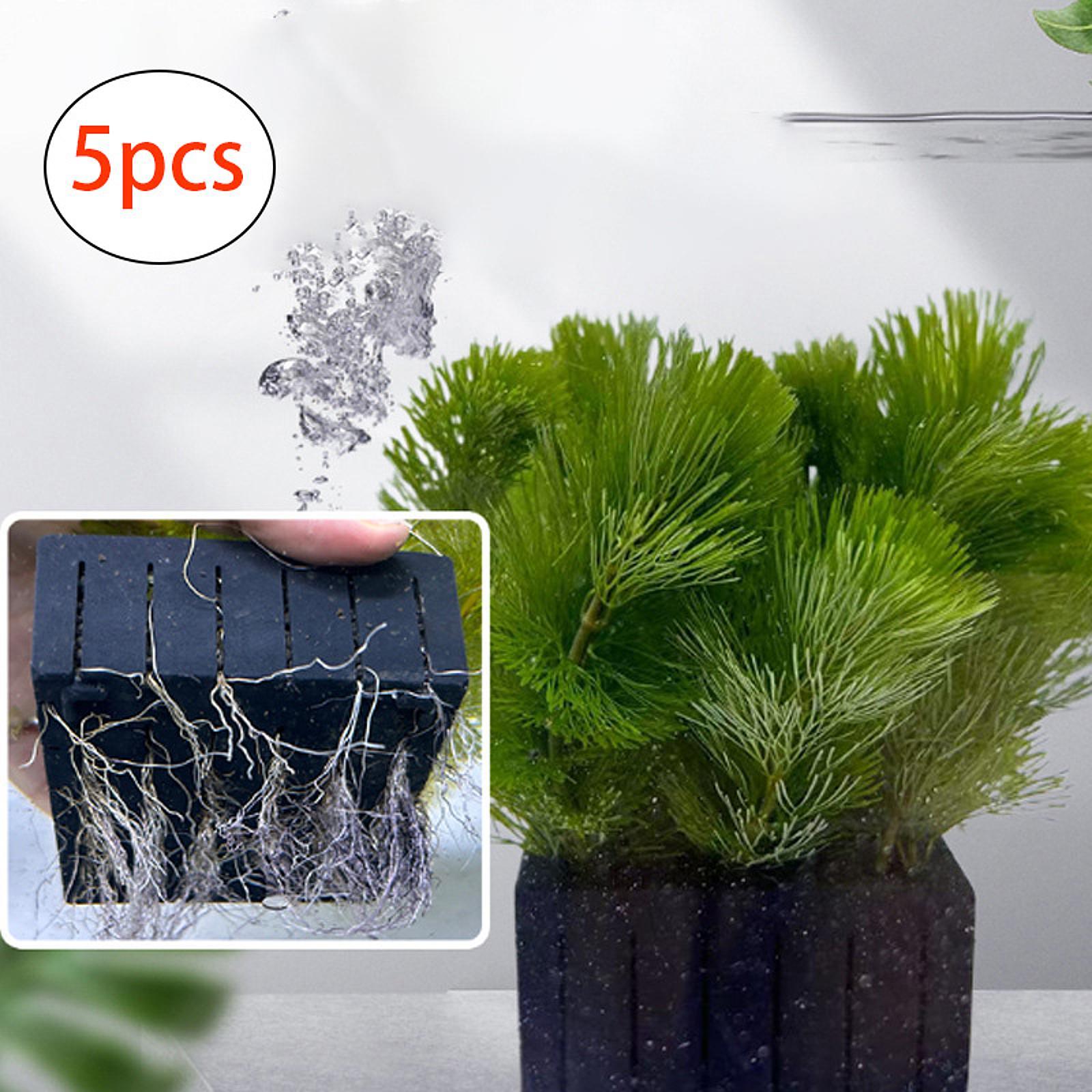Aquarium Plant Basket PP Plast - đánh giá và giá Planted Aquarium Mini